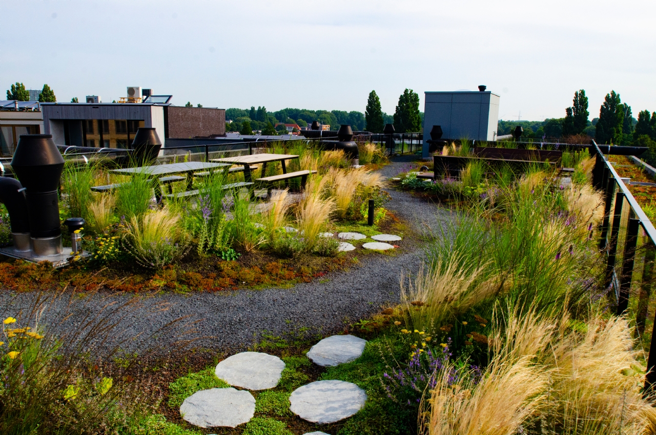 Het Polderdak fungeert als een actief bestuurde waterberging, dat regenwater op het dak en omliggende daken kan opslaan en hergebruiken voor koeling, recycling en irrigatie Het Polderdak fungeert als een actief bestuurde waterberging, dat regenwater op het dak en omliggende daken kan opslaan en hergebruiken voor koeling, recycling en irrigatie