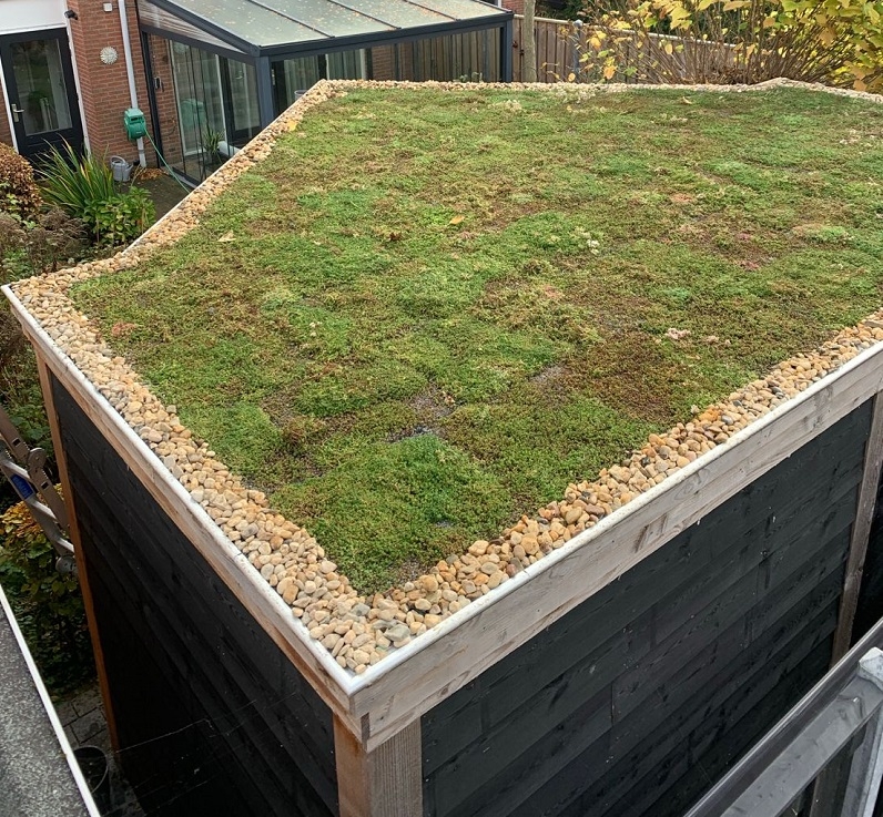 Door een speciaal recept van lichtgewicht poreuze tegels begroeid met sedum en een uitgebalanceerde sedumdaksysteem krijgt onkruid geen kans en hebben de planten niets nodig Door een speciaal recept van lichtgewicht poreuze tegels begroeid met sedum en een uitgebalanceerde sedumdaksysteem krijgt onkruid geen kans en hebben de planten niets nodig