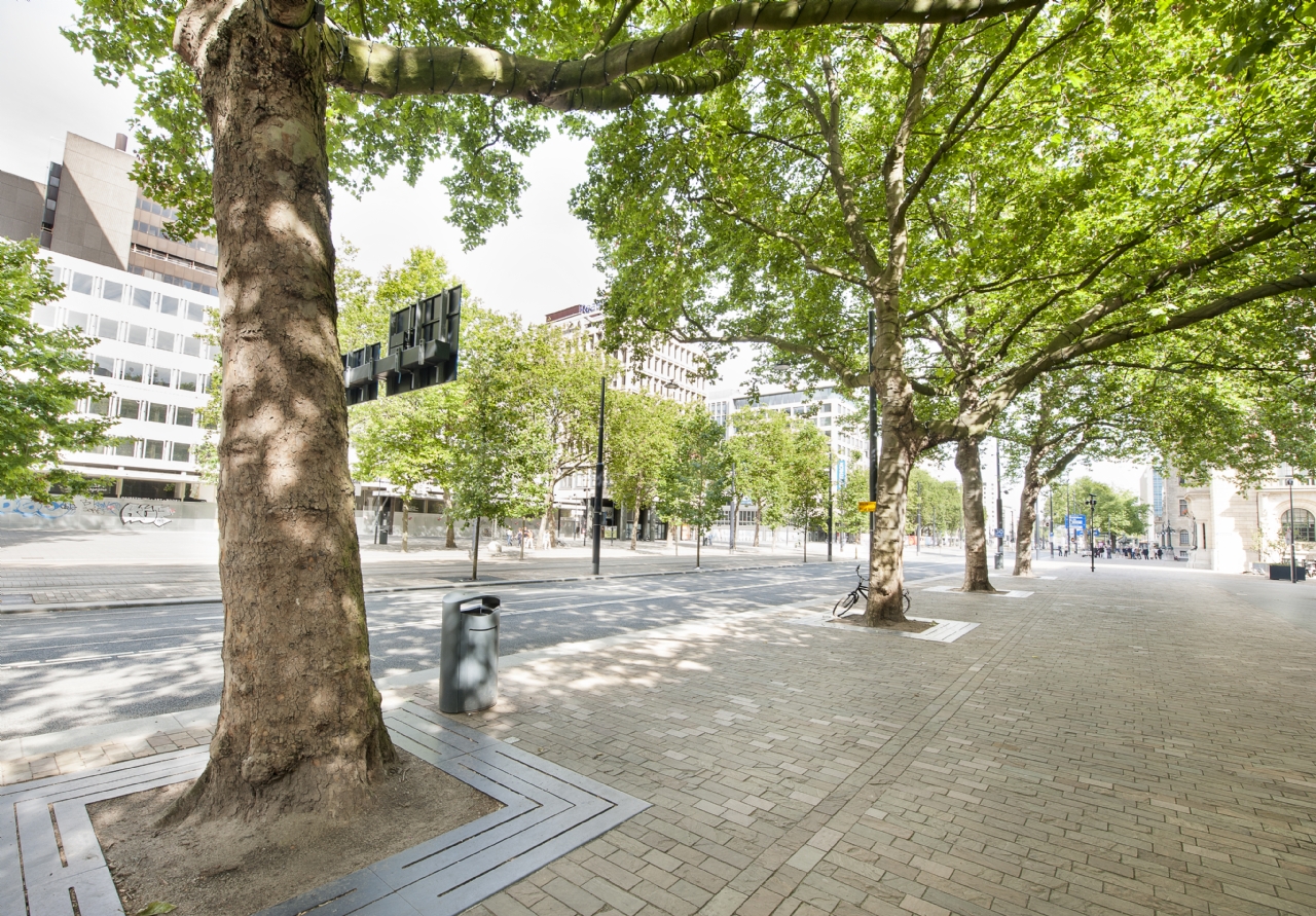Op de Coolsingel in Rotterdam kunnen bomen uitgroeien dankzij de TreeParker Op de Coolsingel in Rotterdam kunnen bomen uitgroeien dankzij de TreeParker